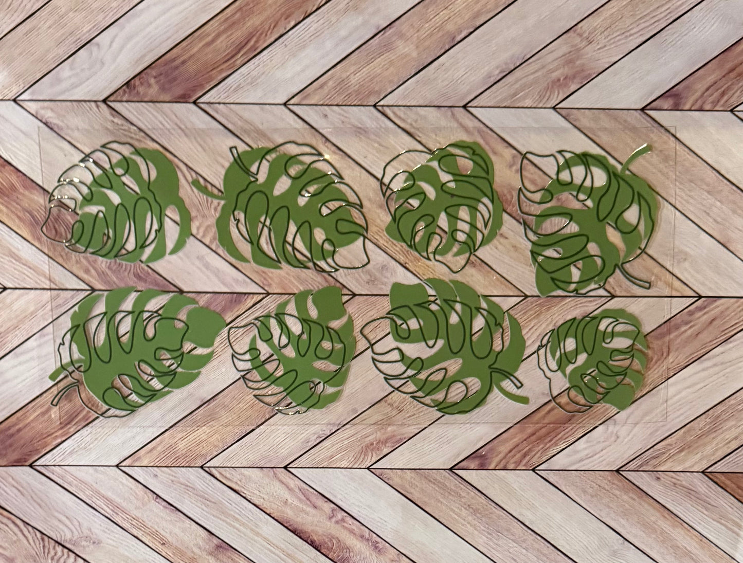 Monstera leaves