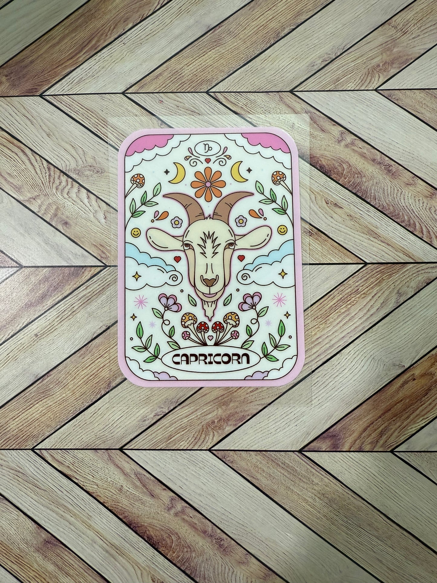 Capricorn tarot card