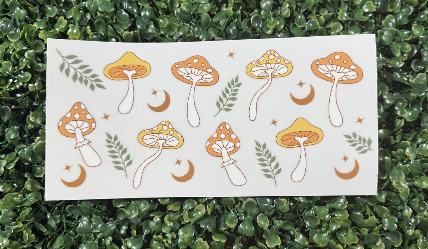 Mushroom 5
