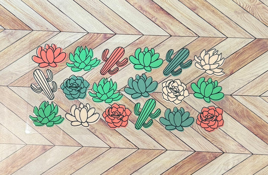 Succulents and cactus