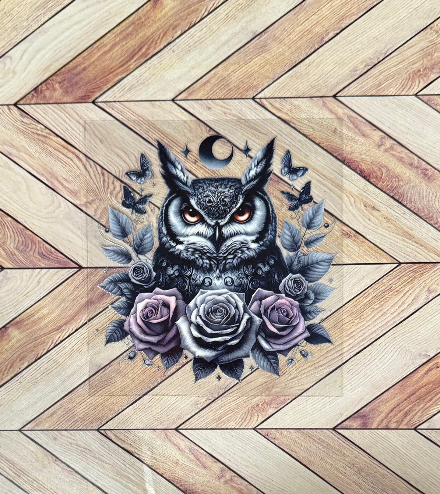 Owl
