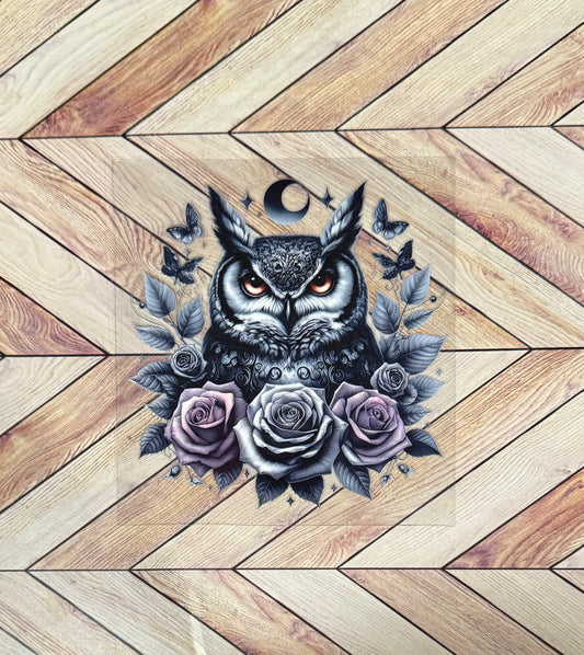 Owl