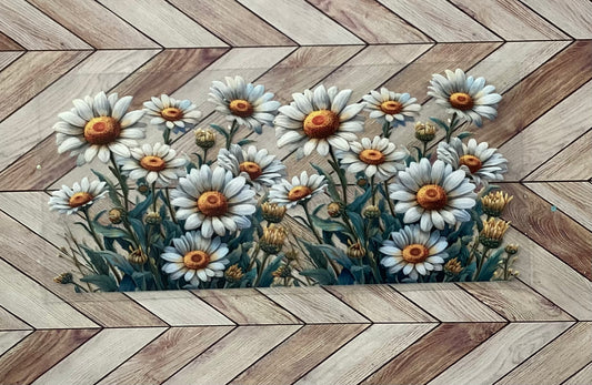 Field of daisies