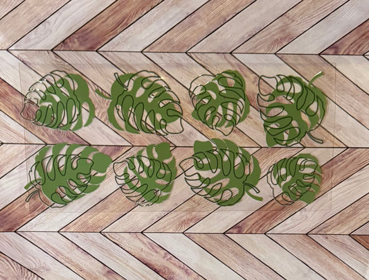 Monstera leaves