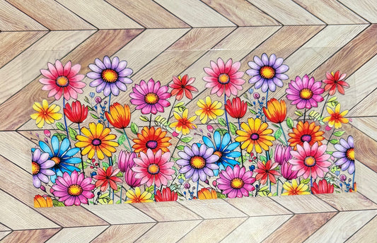 Colorful daisies