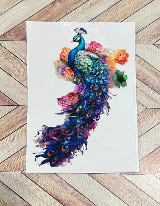 Peacock
