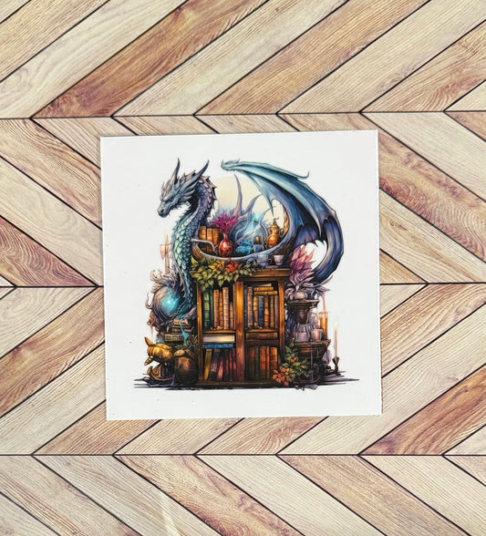 Dragon and bookshelves