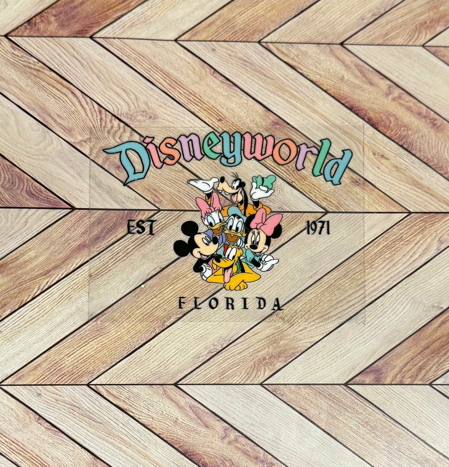 Disneyworld 1