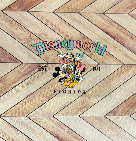 Disneyworld 1