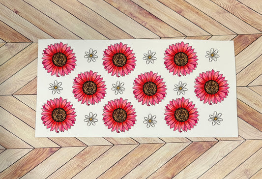 Pink daisies
