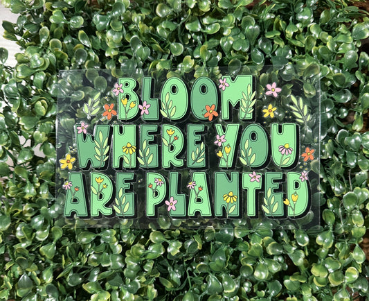 Bloom where you are planted
